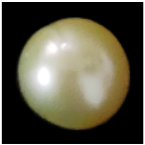 Hiraola's Product Image